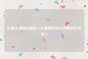 长春公司网站建设（长春做网站公司哪家比较好）
