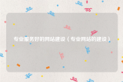 专业服务好的网站建设（专业网站的建设）