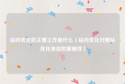 站内优化的主要工作是什么（站内优化对整站优化来说的重要性）