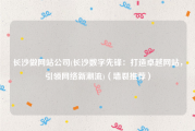 长沙做网站公司(长沙数字先锋：打造卓越网站，引领网络新潮流)（墙裂推荐）