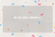 君が好き歌词（君好说SEO）
