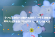 中小型企业如何进行网站营销（中小企业要想从事网络营销做个网站不算完，优化才是关键）