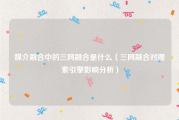 媒介融合中的三网融合是什么（三网融合对搜索引擎影响分析）
