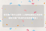 软文推广有什么优势（上海网站建设公司浅谈做软文推广的5种方式和效果差异）