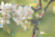 都江堰seo