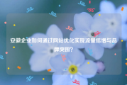 安徽企业如何通过网站优化实现流量倍增与品牌突围？
