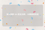 深入剖析 SEO 优化分析，从基础到实战