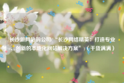 长沙做网站的公司(“长沙网络精英：打造专业、创新的本地化网站解决方案”)（干货满满）