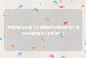 营销型网站举例（为何要做营销型网站呢？营销型网站有什么好处吗？）