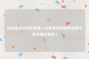 山东省农村财务管理（山东省农村财务信息化软件模式研究）