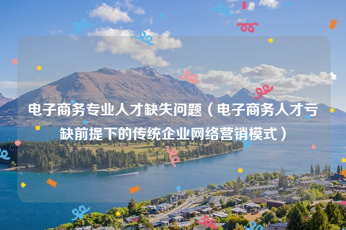 电子商务专业人才缺失问题（电子商务人才亏缺前提下的传统企业网络营销模式）