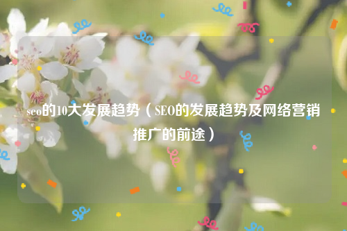 seo的10大发展趋势（SEO的发展趋势及网络营销推广的前途）