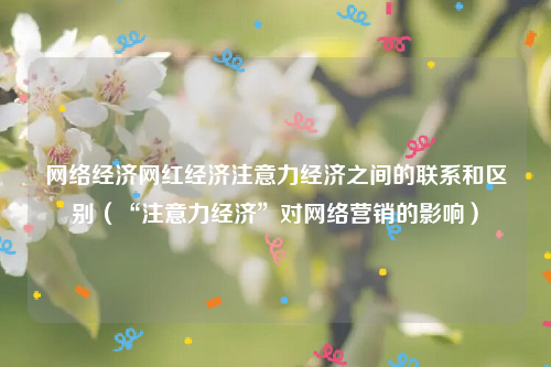 网络经济网红经济注意力经济之间的联系和区别（“注意力经济”对网络营销的影响）