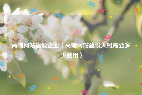 高端网站建设企业（高端网站建设大概需要多少费用）