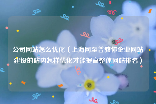 公司网站怎么优化（上海网至普教你企业网站建设的站内怎样优化才能提高整体网站排名）