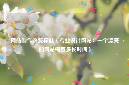 网站制作收费标准（专业设计网站：一个漂亮的网站需要多长时间）