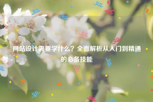 网站设计需要学什么？全面解析从入门到精通的必备技能