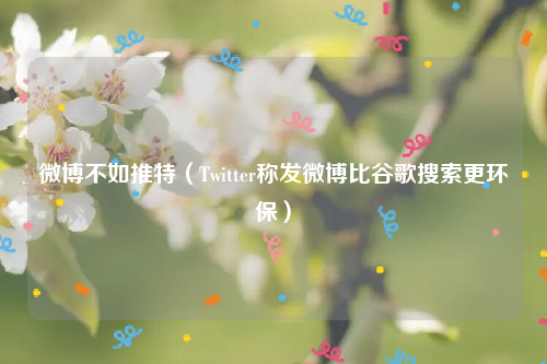微博不如推特（Twitter称发微博比谷歌搜索更环保）