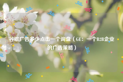 谷歌广告多少点击一个询盘（GE：一个B2B企业的广告策略）