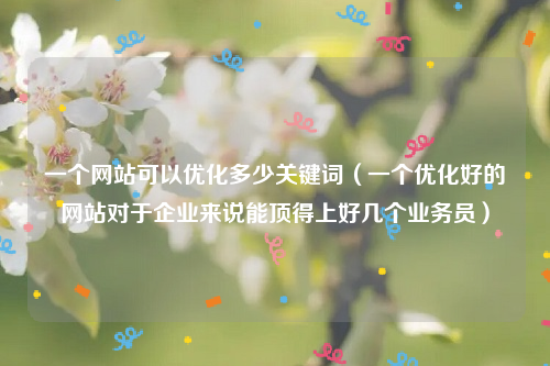 一个网站可以优化多少关键词（一个优化好的网站对于企业来说能顶得上好几个业务员）