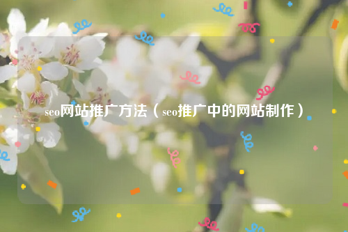 seo网站推广方法（seo推广中的网站制作）