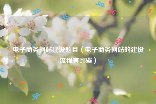 电子商务网站建设题目（电子商务网站的建设流程有哪些）