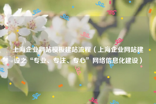 上海企业网站模板建站流程（上海企业网站建设之“专业、专注、专心”网络信息化建设）