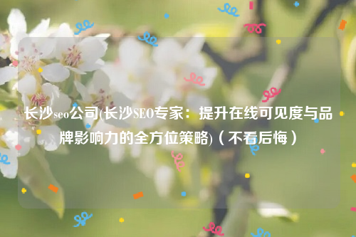 长沙seo公司(长沙SEO专家：提升在线可见度与品牌影响力的全方位策略)（不看后悔）