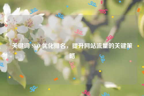关键词 SEO 优化排名，提升网站流量的关键策略