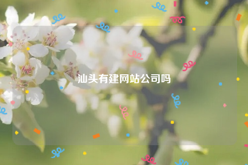 汕头有建网站公司吗