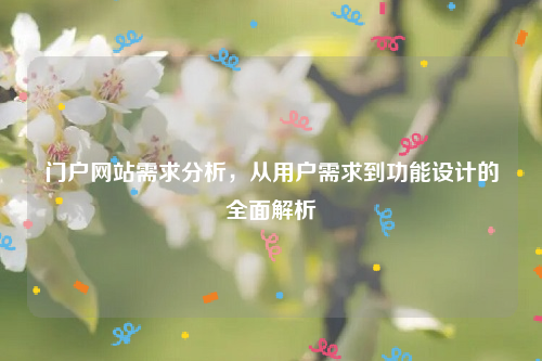 门户网站需求分析，从用户需求到功能设计的全面解析
