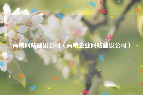 高端网站建设公司（高端企业网站建设公司）