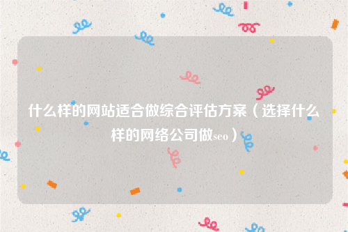 什么样的网站适合做综合评估方案（选择什么样的网络公司做seo）