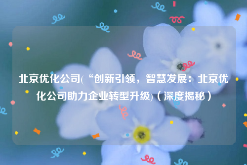 北京优化公司(“创新引领，智慧发展：北京优化公司助力企业转型升级)（深度揭秘）
