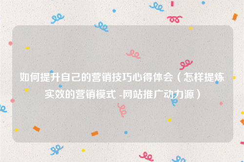 如何提升自己的营销技巧心得体会（怎样提炼实效的营销模式 -网站推广动力源）