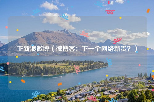 下新浪微博（微博客：下一个网络新贵？）