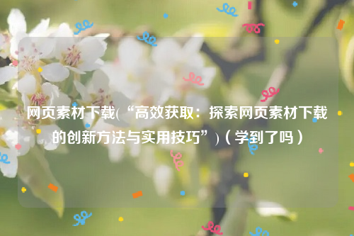 网页素材下载(“高效获取：探索网页素材下载的创新方法与实用技巧”)（学到了吗）