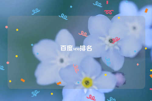 百度seo排名