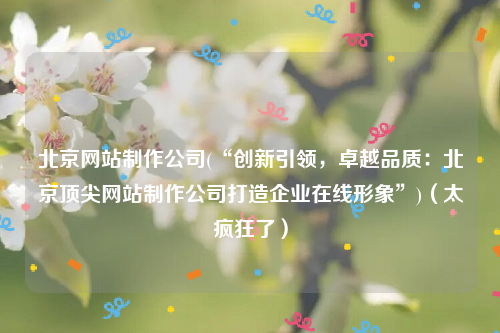 北京网站制作公司(“创新引领，卓越品质：北京顶尖网站制作公司打造企业在线形象”)（太疯狂了）