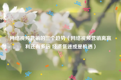 网络视频营销的三个趋势（网络视频营销离赢利还有多远 经济低迷或是机遇）