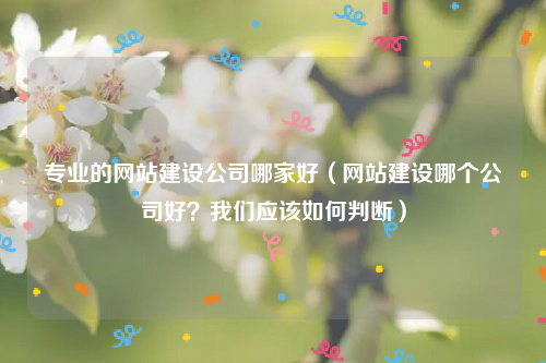 专业的网站建设公司哪家好（网站建设哪个公司好？我们应该如何判断）