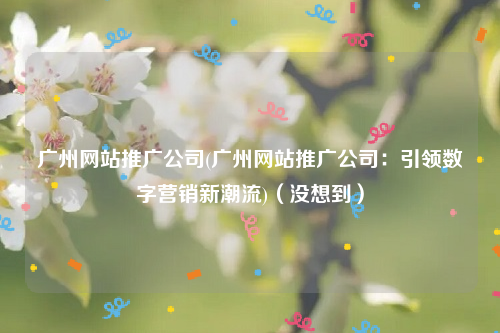 广州网站推广公司(广州网站推广公司：引领数字营销新潮流)（没想到）