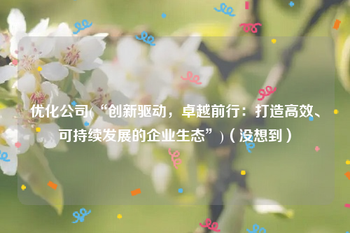 优化公司(“创新驱动，卓越前行：打造高效、可持续发展的企业生态”)（没想到）