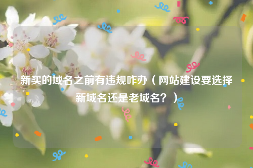 新买的域名之前有违规咋办（网站建设要选择新域名还是老域名？）