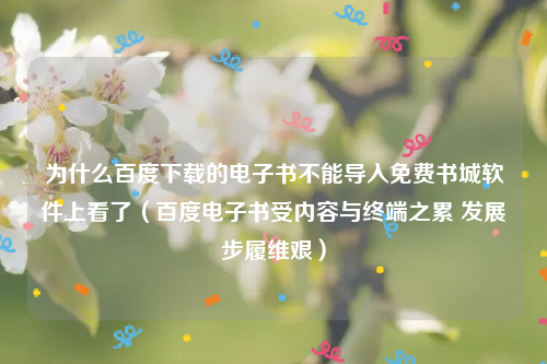 为什么百度下载的电子书不能导入免费书城软件上看了（百度电子书受内容与终端之累 发展步履维艰）