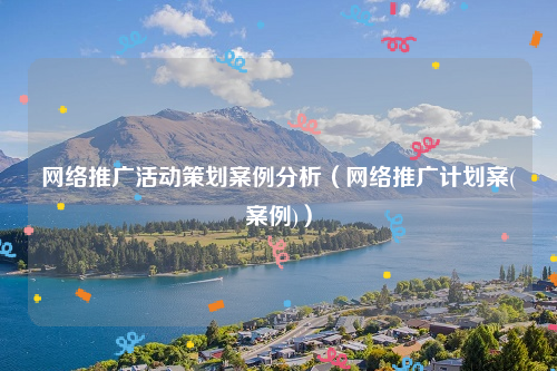 网络推广活动策划案例分析（网络推广计划案(案例)）