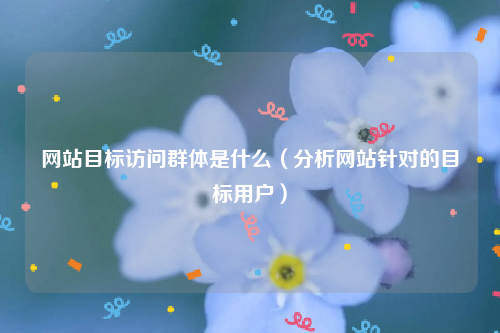 网站目标访问群体是什么（分析网站针对的目标用户）