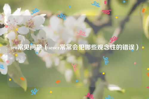 seo常见问题（seoer常常会犯哪些观念性的错误）