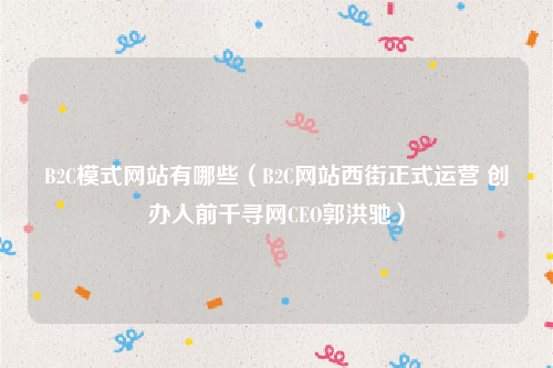 B2C模式网站有哪些（B2C网站西街正式运营 创办人前千寻网CEO郭洪驰）