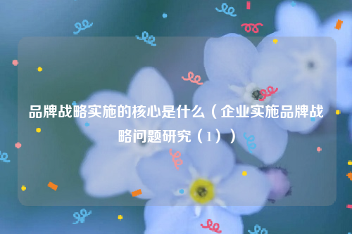 品牌战略实施的核心是什么（企业实施品牌战略问题研究（1））
